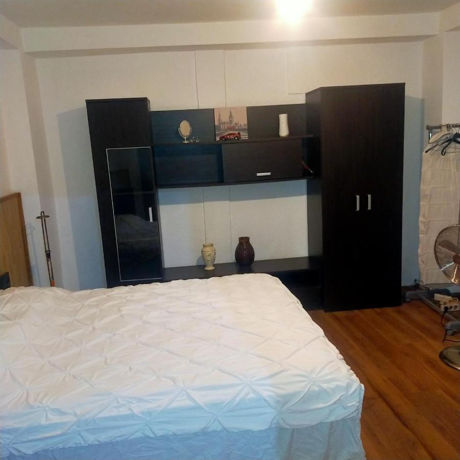 Vila Elena Ap 1 Бухарест Экстерьер фото